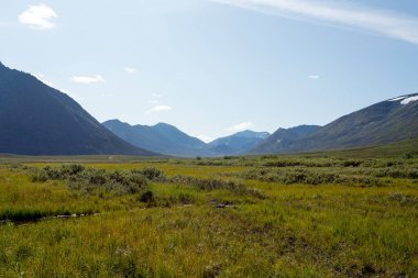 Dağ manzarası, geniş bir manzara, Subpolar Urallar. Açık hava aktiviteleri ve turizm kavramı.