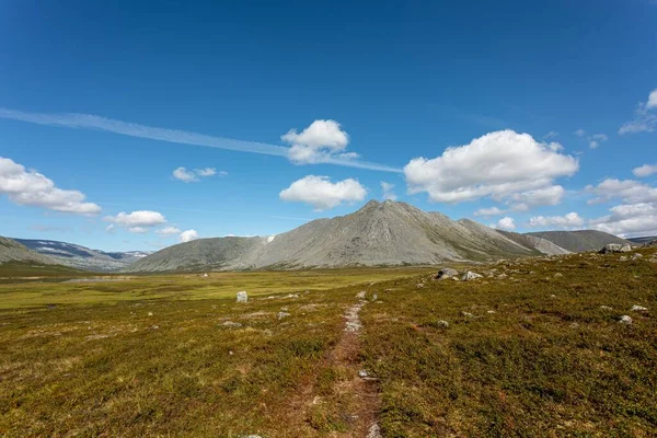 Berglandschap Groot Panorama Subpolaire Oeral Het Concept Van Buitenactiviteiten Toerisme — Stockfoto