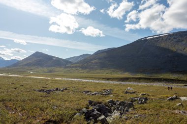 Dağ manzarası, geniş bir manzara, Subpolar Urallar. Açık hava aktiviteleri ve turizm kavramı.