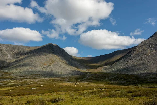 Berglandschap Groot Panorama Subpolaire Oeral Het Concept Van Buitenactiviteiten Toerisme — Stockfoto