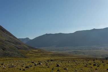 Dağ manzarası, geniş bir manzara, Subpolar Urallar. Açık hava aktiviteleri ve turizm kavramı.