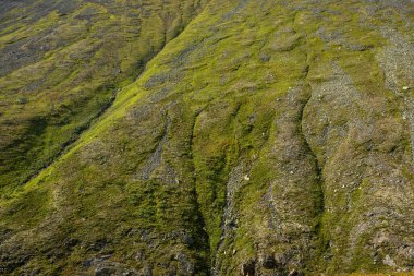 Rusya 'nın Kutup Uralları' ndaki ulusal bir parkta büyük kaya parçaları. Yürüyüş kavramı.