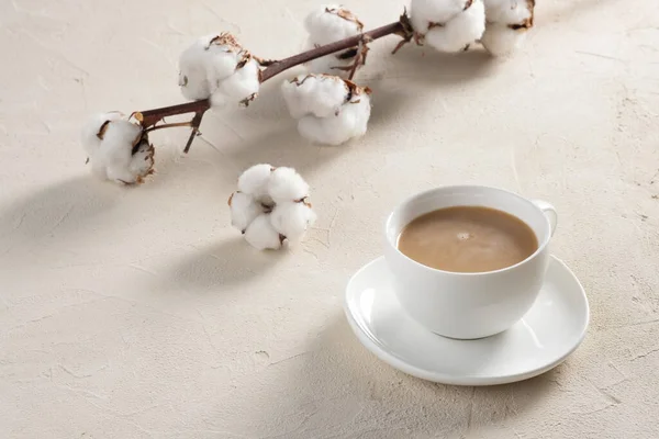 White Cup Coffee Cinnamon Copyspace — Stock Photo, Image