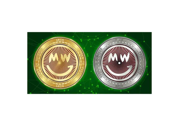 Ouro e prata GRIN criptomoeda moedas no fundo do blockchain —  Vetores de Stock
