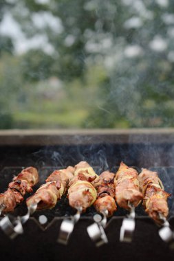 Sulu Barbekü ile tatil