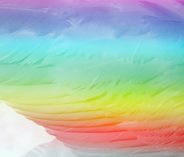 Layers Soft Swan Feathers Abstract Rainbow Colors — Stock Photo, Image