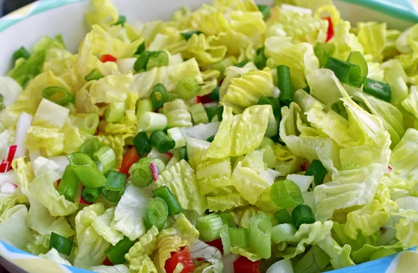 Ensalada Jardín Fresco Con Pimiento Rojo Picado Cebolla Verde Lechuga —  Fotos de Stock