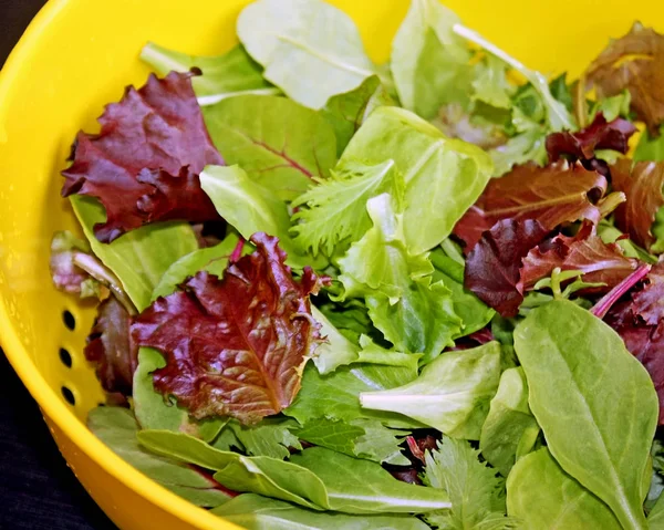 Gesunde Bio Frühlingsmischung Salatblätter Nach Dem Spülen Sieb — Stockfoto