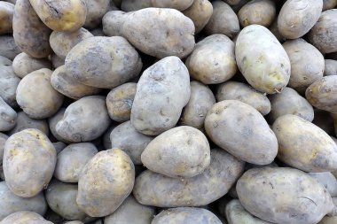 Piyasada satılan taze patates