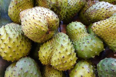 Beyaz arka plan üzerinde seçici odak izole soursop meyve yakın çekim. 