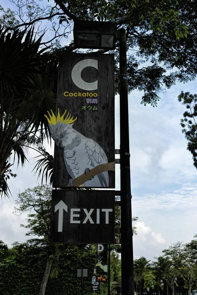 Una Lettera Segno Cockatoo Contro Cielo Blu Nel Parcheggio All — Foto Stock