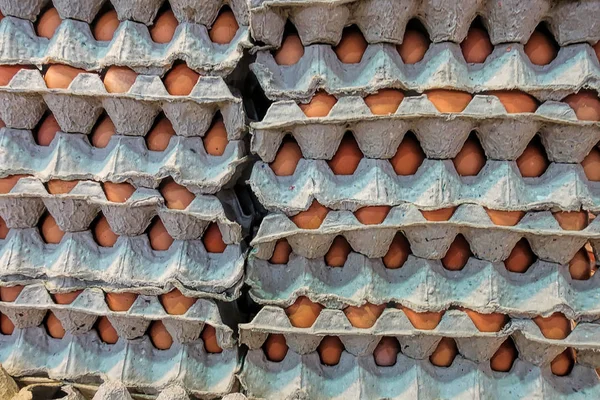 Brown eggs in an egg box, selective focus.