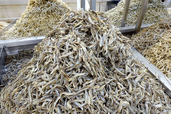 Ikan Bilis Anchoas Secas Pescados Que Venden Mercado Johor Bahru — Foto de Stock