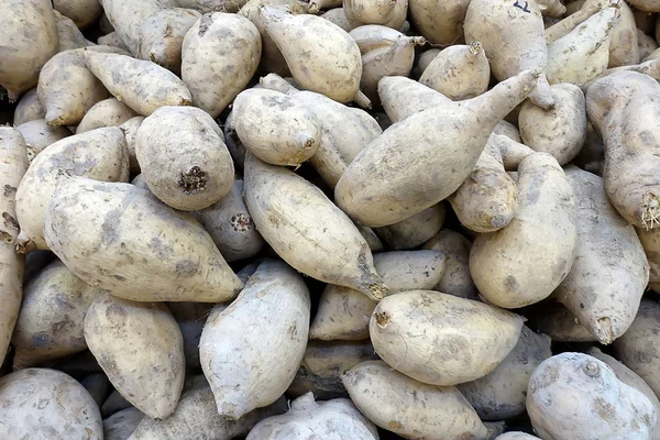 Patates Douces Ipomoea Batatas Mise Point Sélective — Photo
