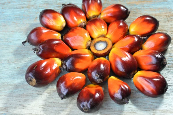 African Oil Palm Elaeis Guineensis Palma Aceitera Origina África Occidental — Foto de Stock