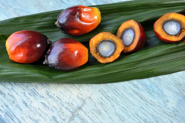 Afrikansk Oljepalm Elaeis Guineensis Oljepalmer Härstammar Från Västafrika Men Odlas — Stockfoto