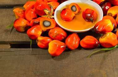 Afrika Yağı Palmiyesi (Elaeis guineensis). Petrol palmiyesi Batı Afrika 'dan gelmektedir ama dünyanın birçok tropikal bölgesinde yetiştirilmiştir. Endonezya & Malezya dünya palmiye yağının yaklaşık% 85 'ini üretiyor.