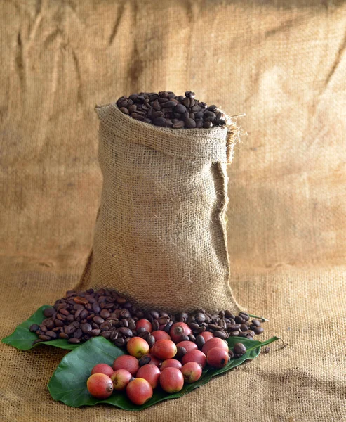テクスチャの背景に葉を持つコーヒーと新鮮な生のコーヒー豆のクローズアップ 選択的な焦点 — ストック写真