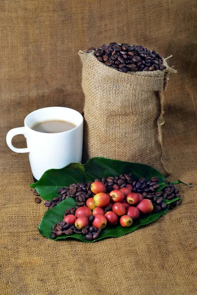 Close Van Koffie Verse Rauwe Koffiebonen Met Blad Textuur Achtergrond — Stockfoto