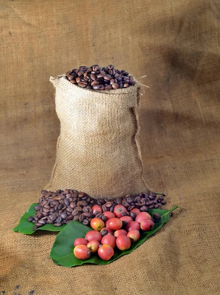 Närbild Kaffe Och Färska Råa Kaffebönor Med Blad Konsistens Bakgrund — Stockfoto