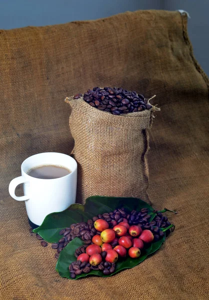 テクスチャの背景に葉を持つコーヒーと新鮮な生のコーヒー豆のクローズアップ 選択的な焦点 — ストック写真