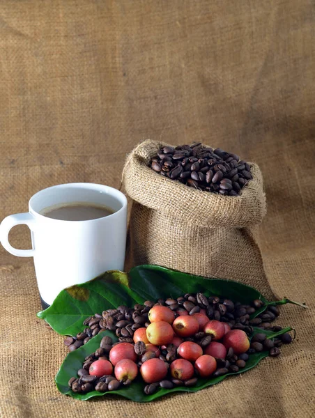 紧贴咖啡和新鲜生咖啡豆 叶面质地背景 有选择重点 — 图库照片