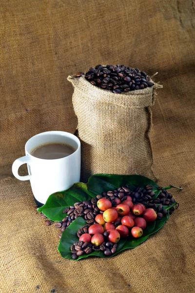 Nahaufnahme Von Kaffee Und Frischen Rohen Kaffeebohnen Mit Blatt Auf — Stockfoto