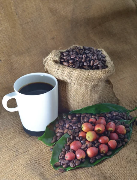 紧贴咖啡和新鲜生咖啡豆 叶面质地背景 有选择重点 — 图库照片
