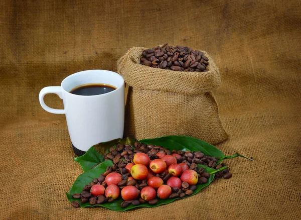 Nahaufnahme Von Kaffee Und Frischen Rohen Kaffeebohnen Mit Blatt Auf — Stockfoto