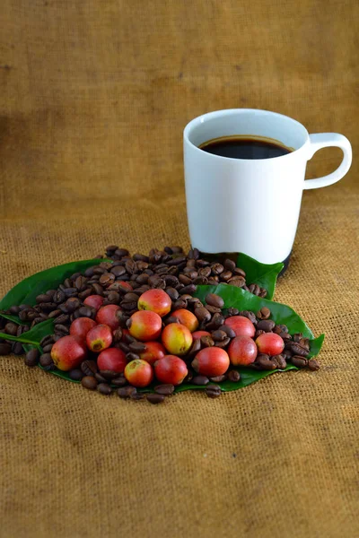 Detail Kávy Čerstvých Surových Kávových Zrn Listem Pozadí Textury Selektivní — Stock fotografie
