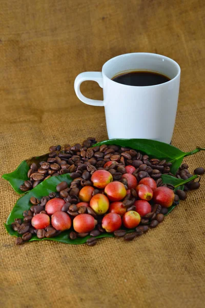 Nahaufnahme Von Kaffee Und Frischen Rohen Kaffeebohnen Mit Blatt Auf — Stockfoto