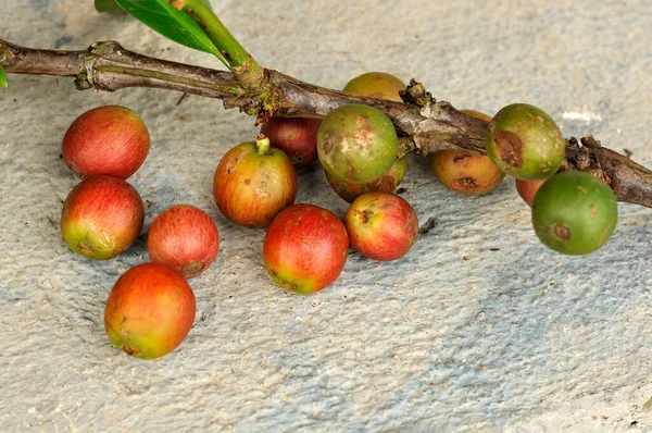 Närbild Kaffe Och Färska Råa Kaffebönor Med Blad Konsistens Bakgrund — Stockfoto