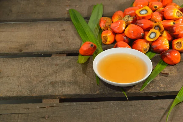 Afrikanische Ölpalme Elaeis Guineensis Ölpalmen Stammen Ursprünglich Aus Westafrika Werden — Stockfoto