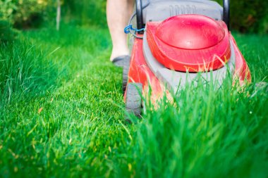 Çim biçme. Bahçıvan çim ile kırmızı bir elektrik biçme mows. Bahçe, bahar temizliği işe. Bahçe ve çim bakımı.