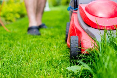 Çim biçme. Bahçıvan çim ile kırmızı bir elektrik biçme mows. Bahçe, bahar temizliği işe. Bahçe ve çim bakımı.