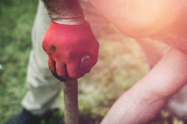 Bahçe iş. Adam bahçede kazılar, fidan yapar. Pantolon ve iş ayakkabıları giymiş bir bahçıvan işi yapar. Bir adam büyük bir etki ile toprağa kazma kürek kullanır.