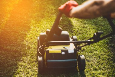 Bir adam bir verticutter kullanır. Bahçe ve dikim fidan çalışır. Bir adam dalları çalılar ve ağaçlar keser, fidan yapar.