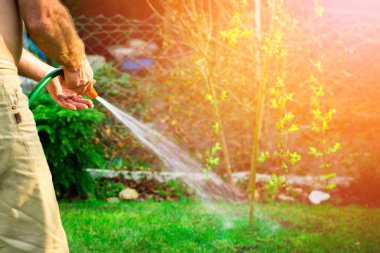 Sulama toprak sulama tesisleri için bahçede. Bahçe iş. Adam bahçede bitkilerin sulama. Bir görünümünü bir kat tutan bir adam. Bitki bakımı su tasarrufu.