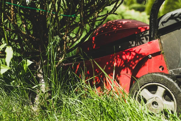 Mowing Grass Gardener Mows Grass Red Electric Mower Work Garden — Stock Photo, Image