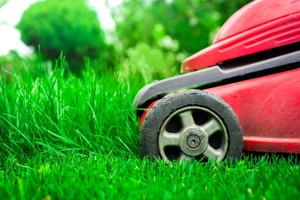 Cortando Hierba Jardinero Corta Hierba Con Una Segadora Eléctrica Roja — Foto de Stock