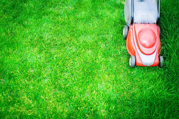 割草的顶视图 园丁用一台红色的电动割草机割草 在花园里工作 春季大扫除 照顾花园和草地 — 图库照片