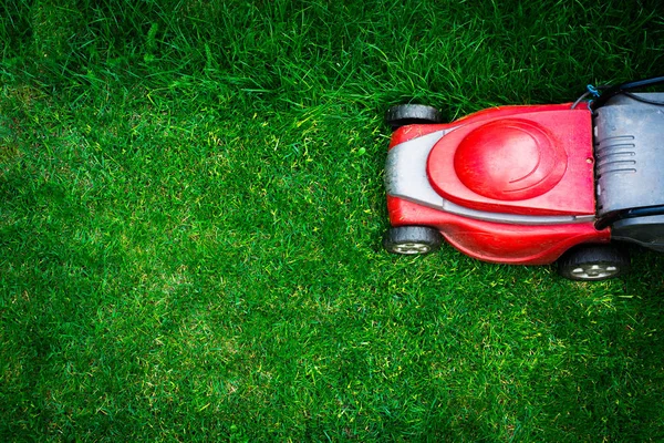 Top view on mowing the grass. The gardener mows the grass with a red electric mower. Work in the garden, spring cleaning. Care for the garden and grass.