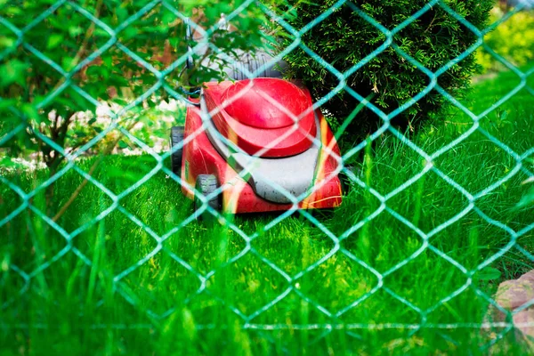 Çim Biçme Bahçıvan Çim Ile Kırmızı Bir Elektrik Biçme Mows — Stok fotoğraf