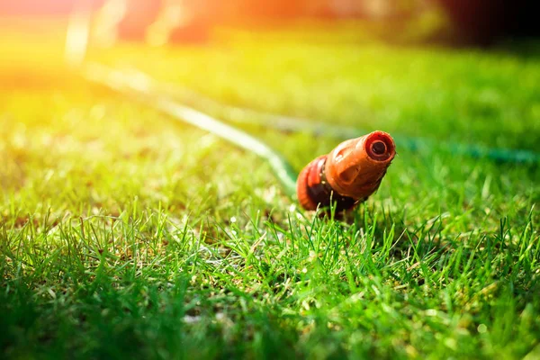 Riego Plantas Jardín Regando Suelo Trabajo Jardín Hombre Está Regando — Foto de Stock