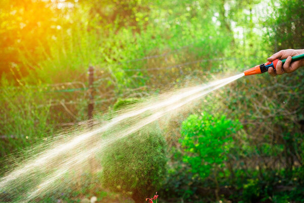 Watering plants in the garden, irrigating the soil. Garden work. The man is watering plants in the garden. A view of a man holding a coat. Saving water, care of plants.