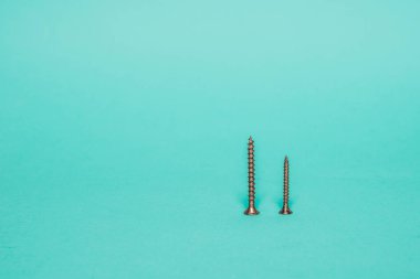 Duvara iki metal vida. Pastel yeşil arka plan üzerinde iki farklı boyutu duvar vidayı önden görünümü.