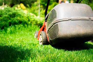 Çim biçme. Bahçıvan çim ile kırmızı bir elektrik biçme mows. Bahçe, bahar temizliği işe. Bahçe ve çim bakımı.
