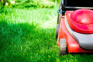 Çim biçme. Bahçıvan çim ile kırmızı bir elektrik biçme mows. Bahçe, bahar temizliği işe. Bahçe ve çim bakımı.