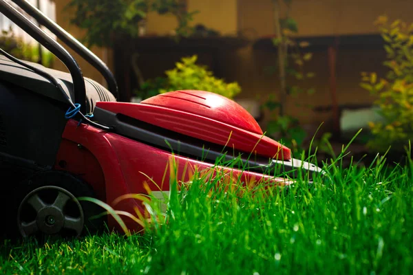 Maaien Van Het Gras Tuinman Maait Het Gras Met Een — Stockfoto