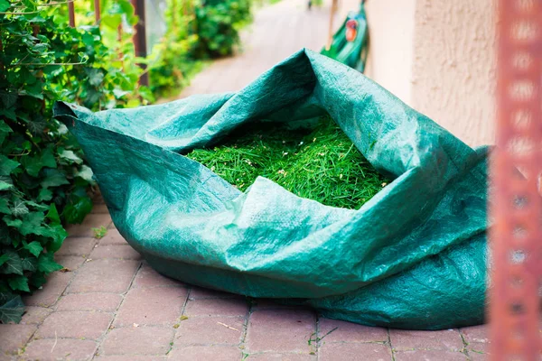 Full Sack Freshly Cut Grass Working Garden Mowing Grass — Stock Photo, Image